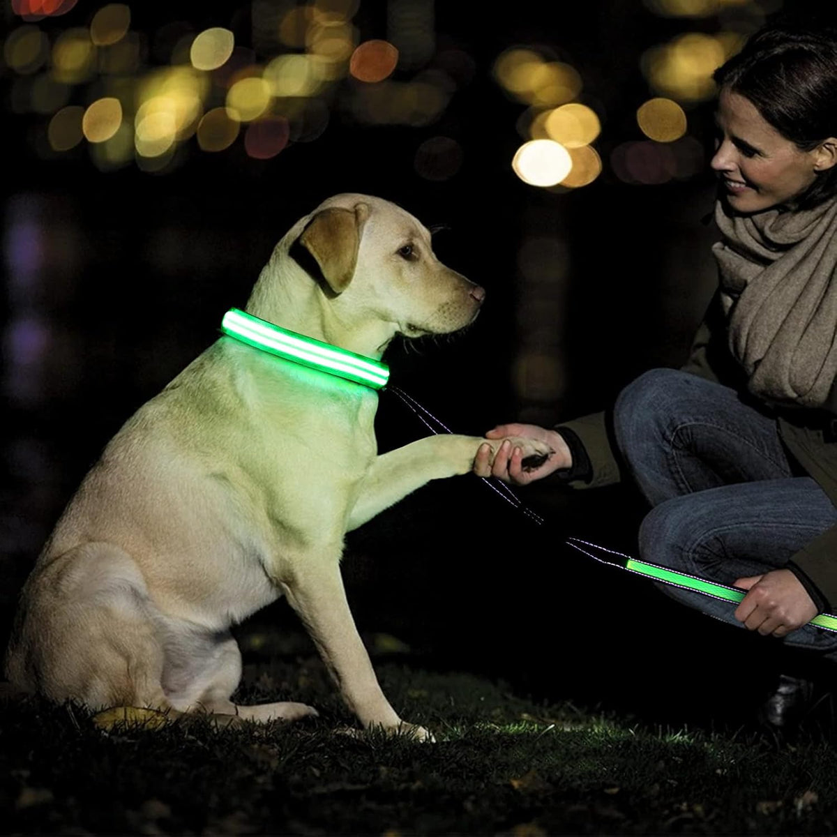 GERMPLASM DOG LED COLLAR SMALL GREEN.