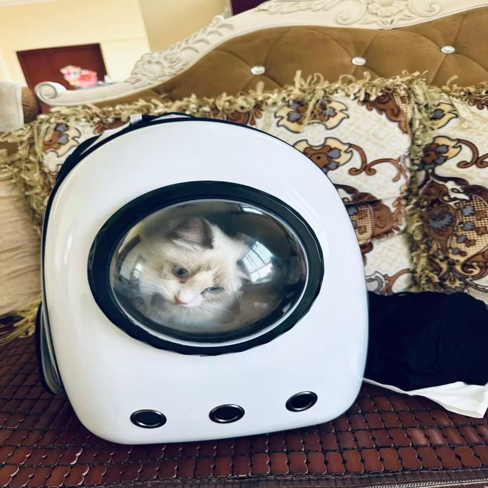 Pet Carrier Backpack White Size 42*30*25 Cm Petfast.shop Generic Carriers & Travel Accessories Cat Dog Supplies petfast.shop Egypt PPE6055S Default Title 960.00