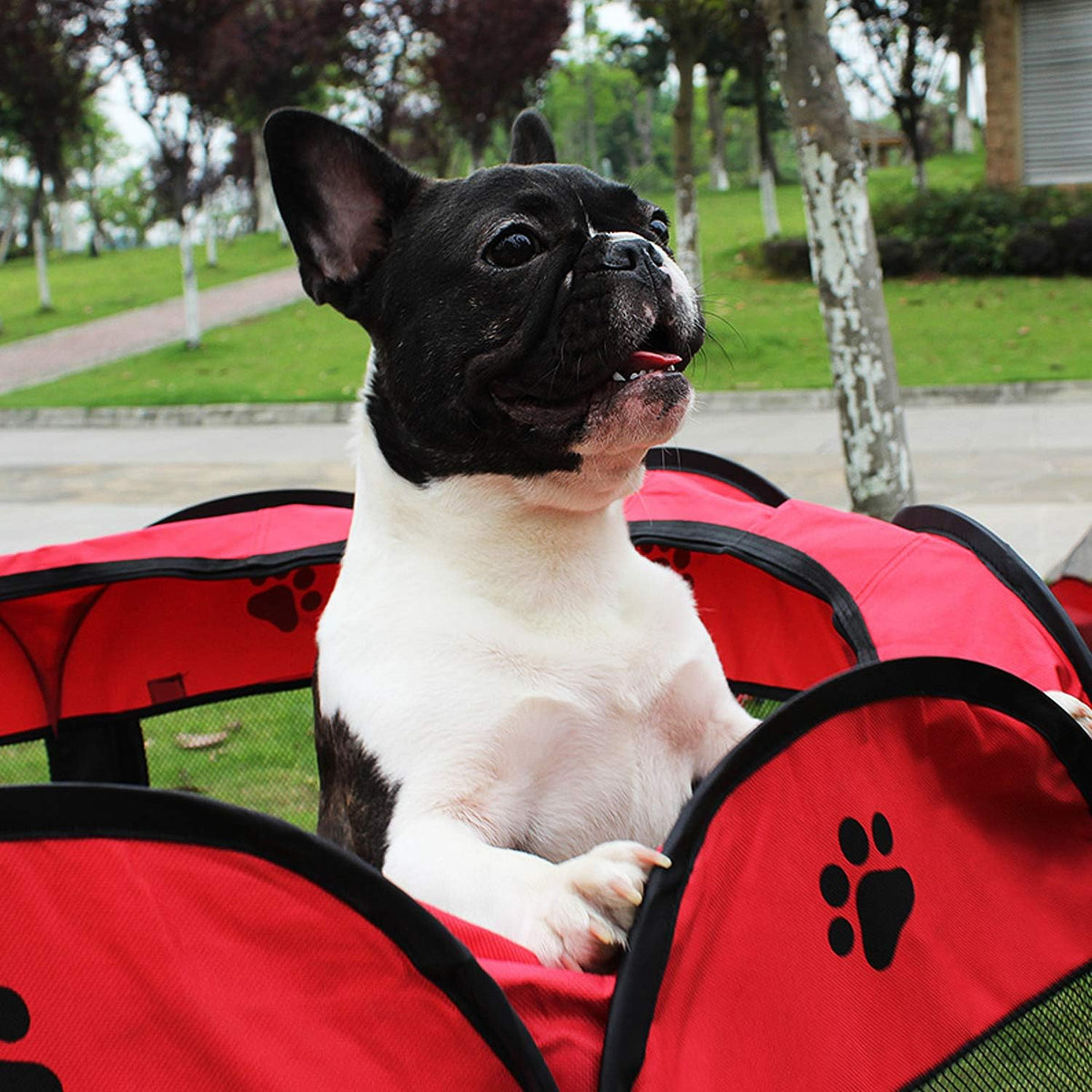 Pet Tent for Cats and Small Dogs Red Small 73x73x43 cm.