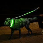 GERMPLASM DOG LED COLLAR SMALL GREEN.