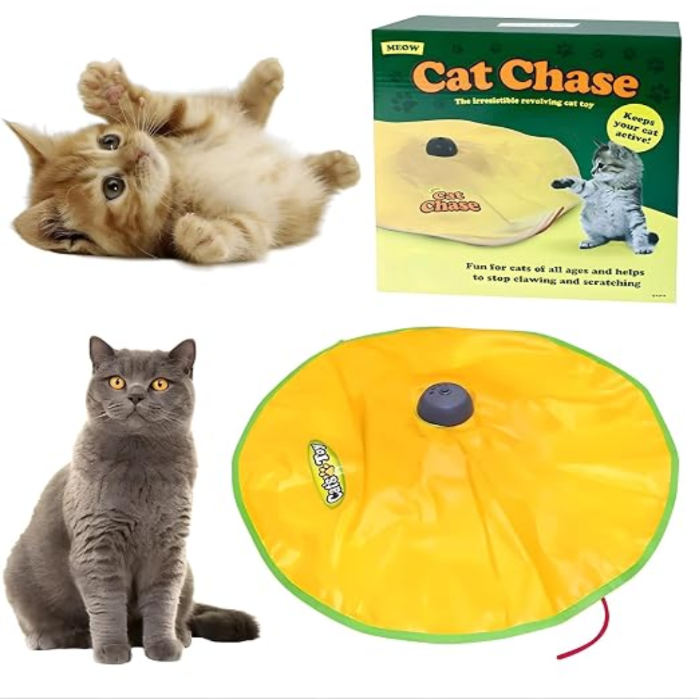Cat Chase Interactive Toy Petfast.shop Generic Cat Supplies Toys petfast.shop EgyptDefault Title 599.00