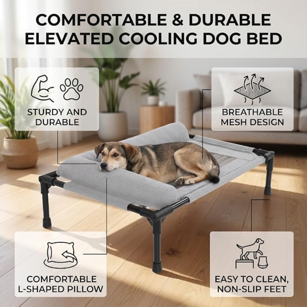 Elevated Pet Bed Size 64*44 Cm
