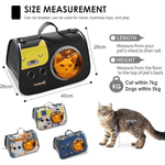 Pet carrier with size measurement chart and a cat for scale on a white background