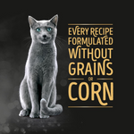 Gray cat with text about grain-free pet food on a dark background