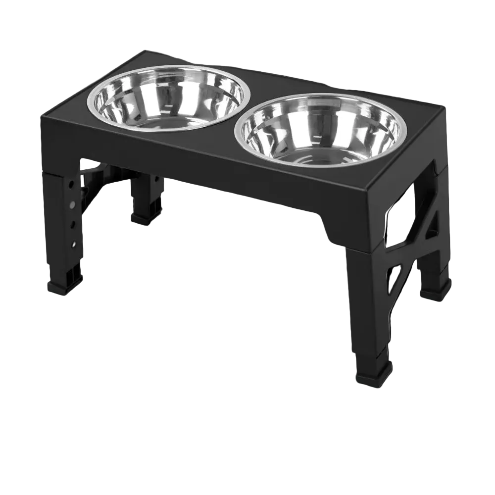 Raised Dog Double Bowl Stand