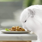 Gourmet Purina Gold tender morsels in sauce with Chicken & Liver 85 g Petfast.shop Gourmet Cat Food Gold Wet Food petfast.shop Egypt PGO6952S Default Title 199.00
