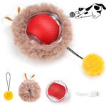 Running Ball with Ball Cat Toy 3 Pcs Petfast.shop Generic Cat Supplies Toys petfast.shop EgyptGreen 0.00