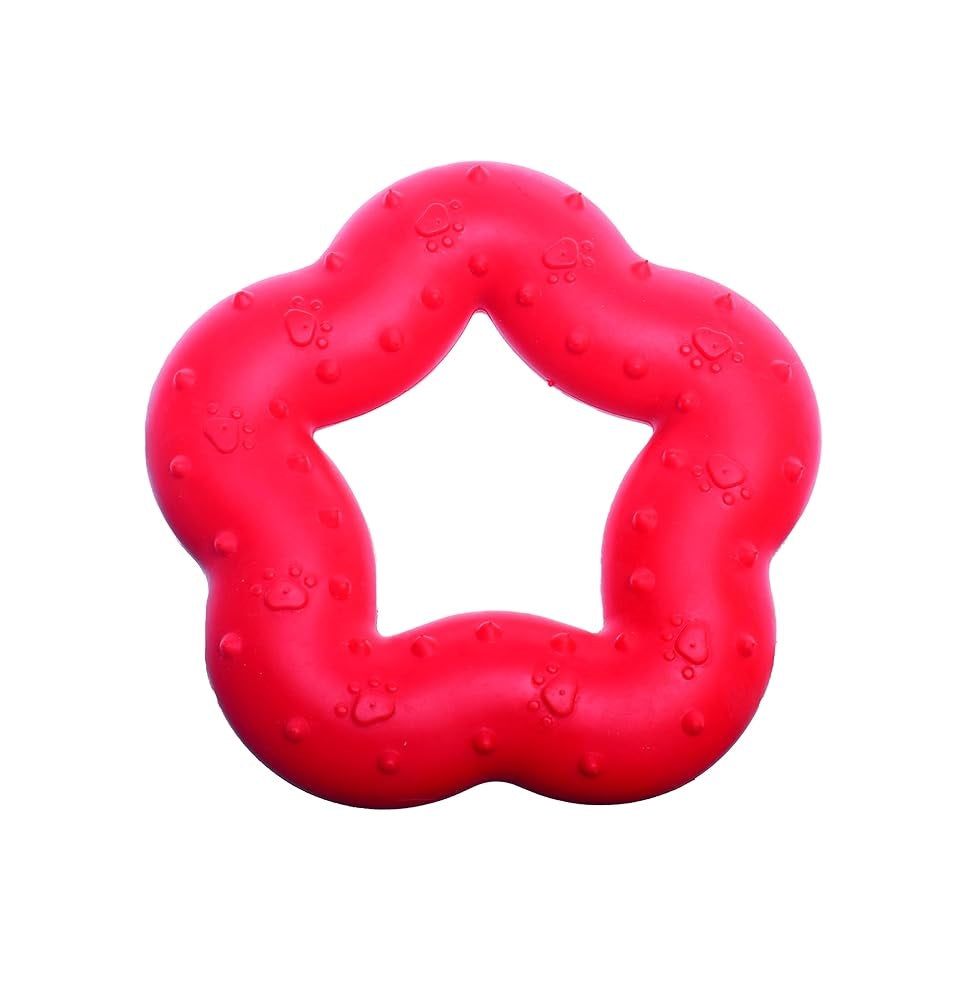 Orgo Star Shaped Dog Chew Toy.