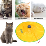 Cat Chase Interactive Toy Petfast.shop Generic Cat Supplies Toys petfast.shop EgyptDefault Title 599.00