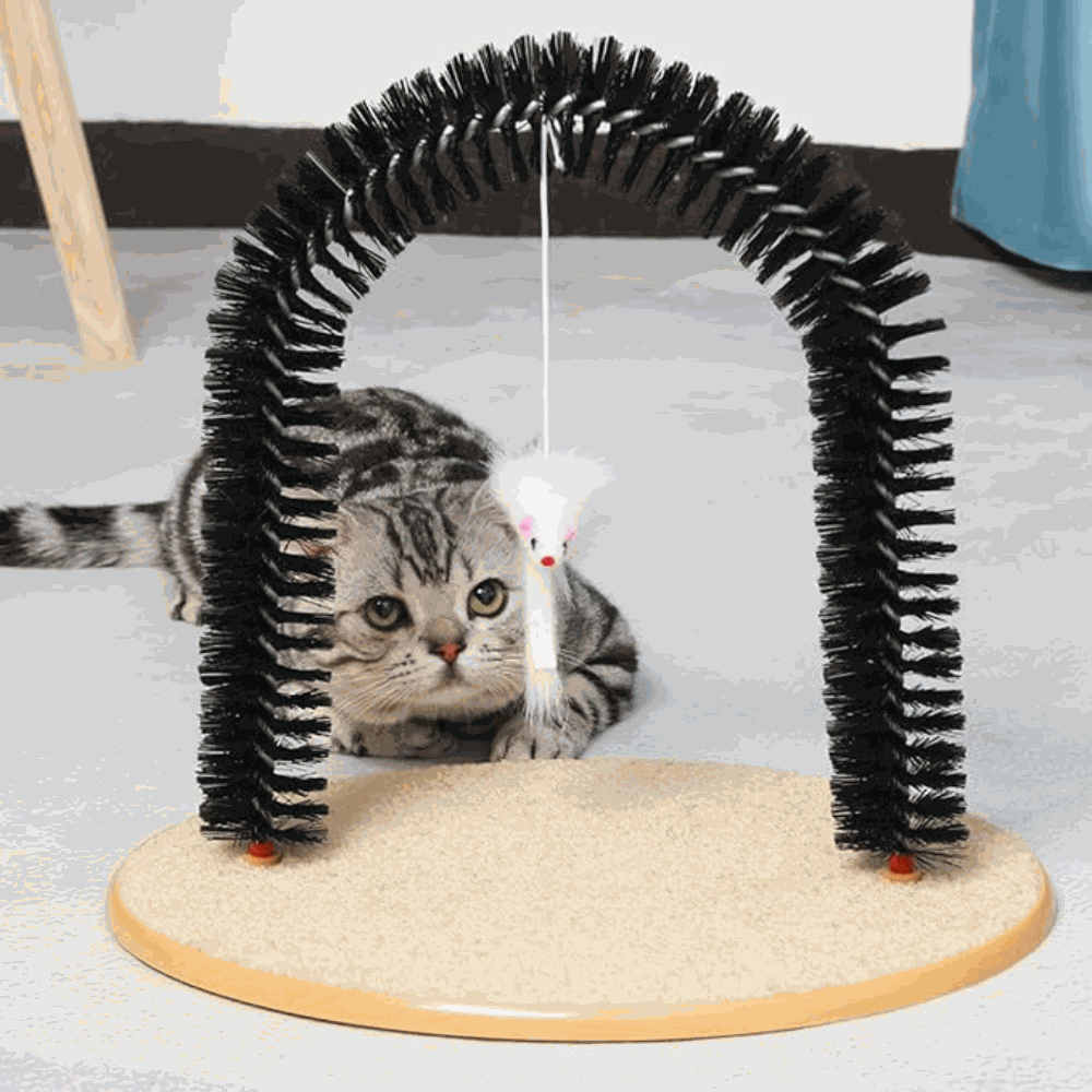 Cat playing with a black arch-shaped cat toy on a light gray surface.