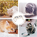 Pet Duo Dinner Stand Bowl | Stainless Steel Petfast.shop Generic Bowls & Feeders Cat Dog Exclusive Supplies petfast.shop EgyptPurple 675.00
