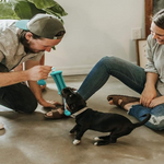 Two people playing with a small black dog on a concrete floor.