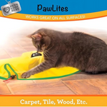 Cat Chase Interactive Toy Petfast.shop Generic Cat Supplies Toys petfast.shop EgyptDefault Title 599.00