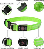 GERMPLASM DOG LED COLLAR SMALL GREEN.