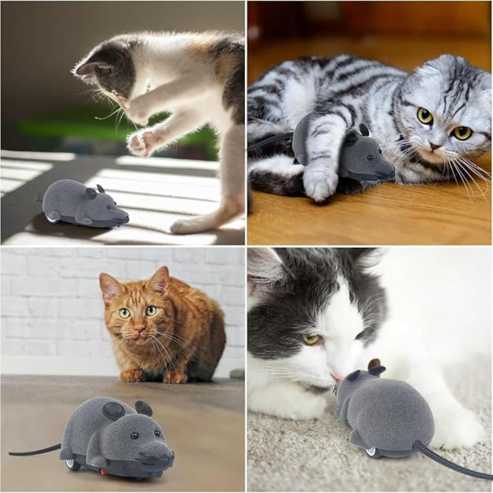 Remote Control Mouse Cat Toy Petfast.shop Generic Cat Exclusive Supplies Toys petfast.shop EgyptDefault Title 720.00