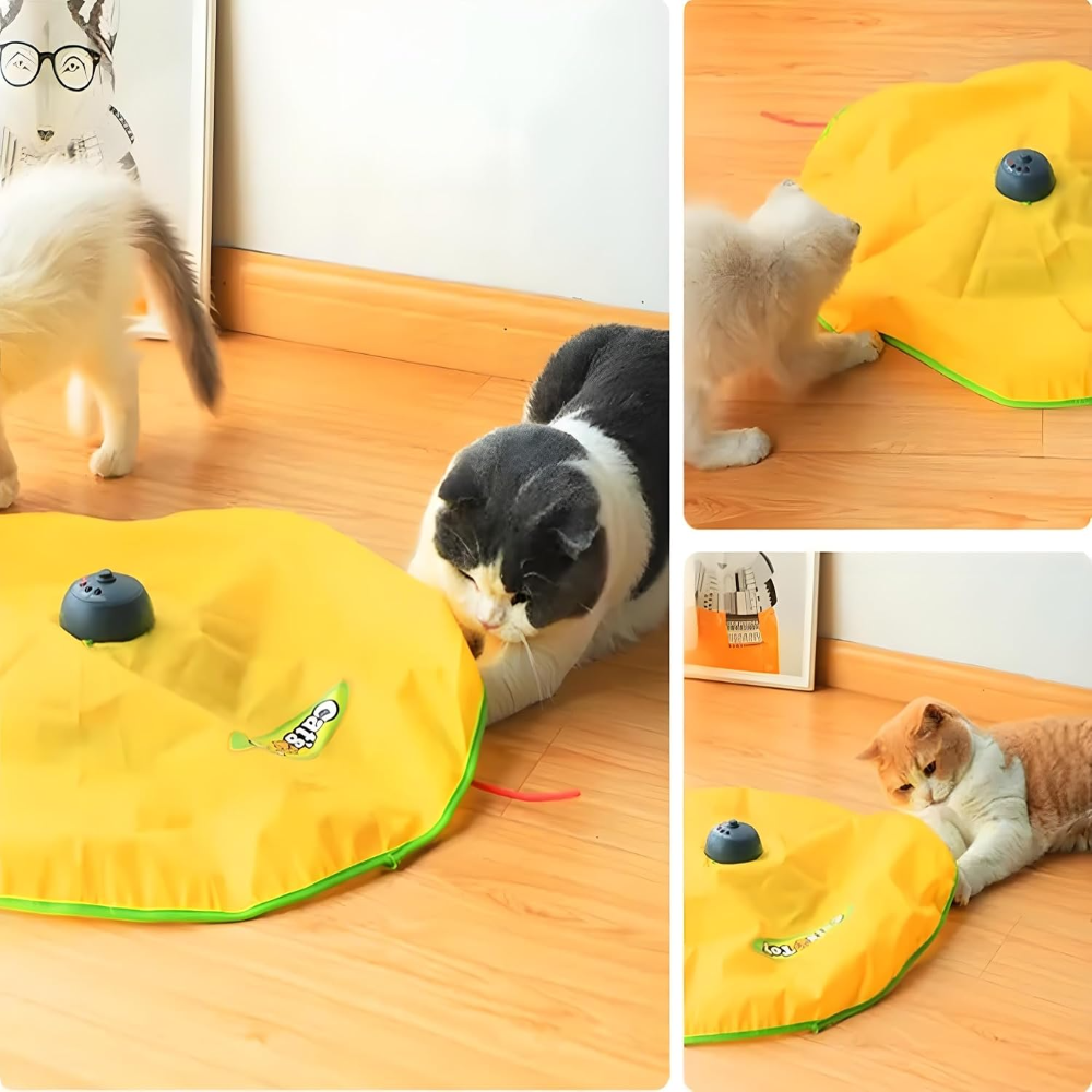 Cat Chase Interactive Toy Petfast.shop Generic Cat Supplies Toys petfast.shop EgyptDefault Title 599.00
