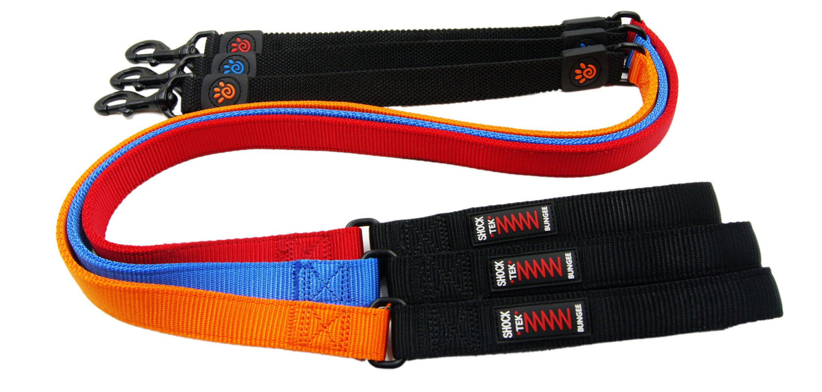 DOCO® 4ft Shock Absorbing BUNGEE Nylon Dog Leash.