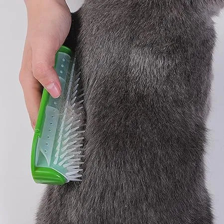 Wall Mount Cat Brush.