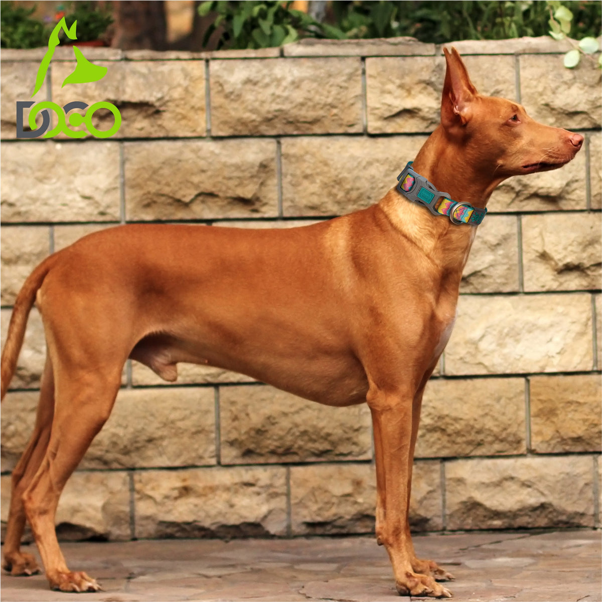 DOCO® Jacquard Stitched Weaved Collar.