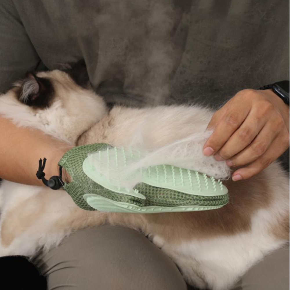 Spray Cat Glove Petfast.shop Generic Brushes Combs and Clippers Cat Cleaning & Potty Dog petfast.shop EgyptDefault Title 500.00