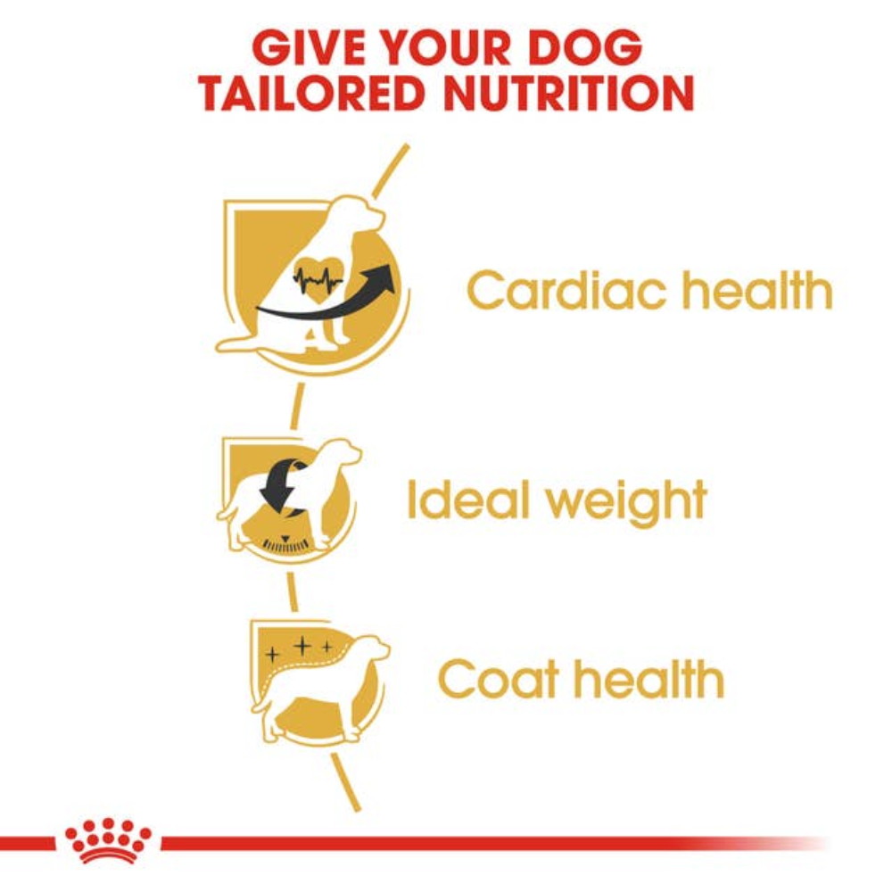 Royal Canin Cavalier King Charles 3Kg Petfast.shop Royal Canin Dog Dry Food Exclude Food petfast.shop EgyptDefault Title 2300.00