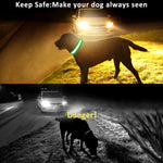 GERMPLASM DOG LED COLLAR SMALL GREEN.