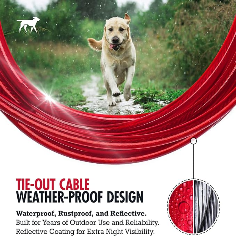 Large Dog Tie-Out for Dogs Up To 60LBS Petfast.shop Generic Dog leash & Coller & Harness Supplies petfast.shop EgyptDefault Title 650.00