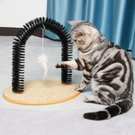 Cat playing with a cat toy arch on a light surface with blue curtains in the background