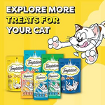 Temptations Cat Treat Tasty Chicken Flavour 75G