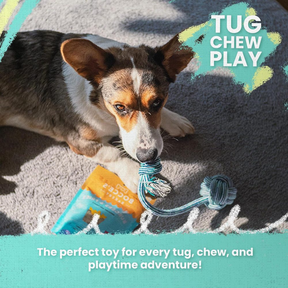 Dog Chew Toy Candy Shape