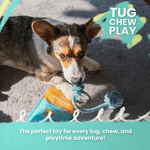 Dog Chew Toy Candy Shape