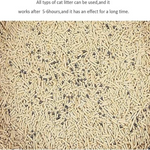 Cat litter with visible clumps on a plain background