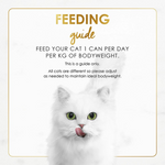 White cat with feeding guide text on a white background