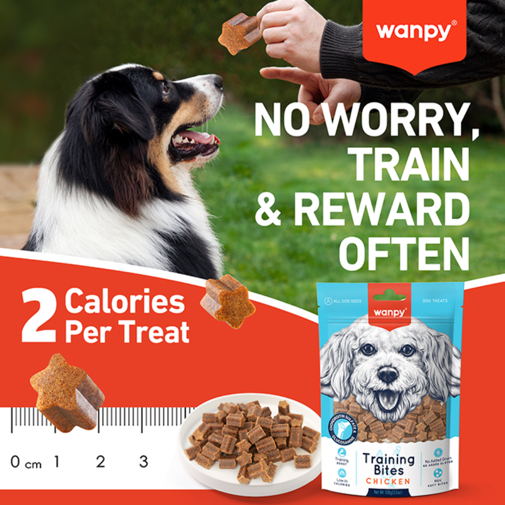 Wanpy Treat For Adult Dog Training Bites Beef 100 g Petfast.shop Wanpy Best Seller Biscuit Treat Dog Treats petfast.shop Egypt PWA6936S Default Title 240.00