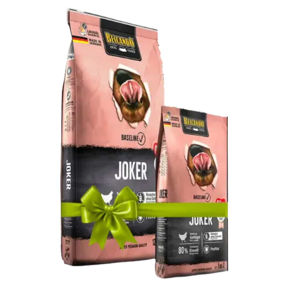 Two packages of Bixxano Joker dog food with a green bow on a white background