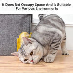 Wall Mount Cat Brush.