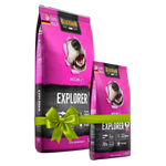 Two packages of Blackwood Explorer dog food on a white background