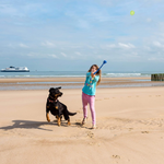 Dog Ball Launcher Toy