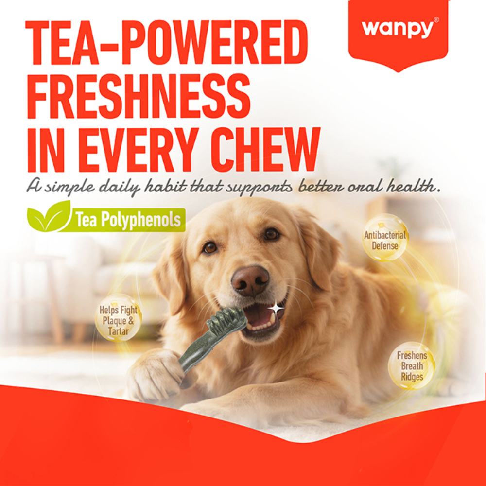 Wanpy Treat For Adult Dog Toothbrush Chews Chicken 100 g