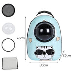 Pet carrier with dimensions and additional components on a white background