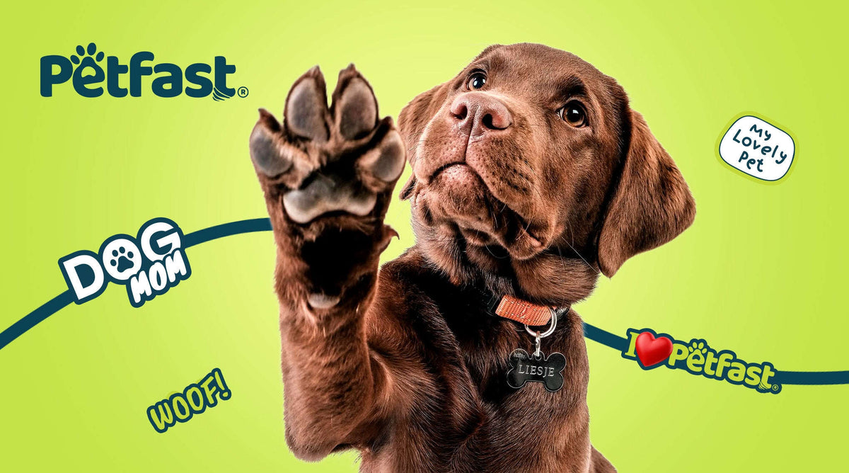 Petfast eGift Card Petfast.shop