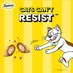 Temptations cat food packaging with cartoon cat and text 'Cats Can't Resist' on a yellow background