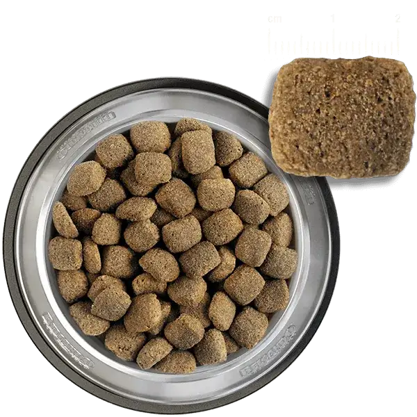 Belcando Adult dinner Dog Dry FoodM-XL 22.5 kg.