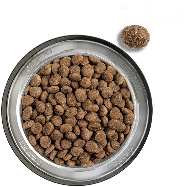 Belcando Adult Finest Croc Dog Dry FoodXS-M 4 kg.