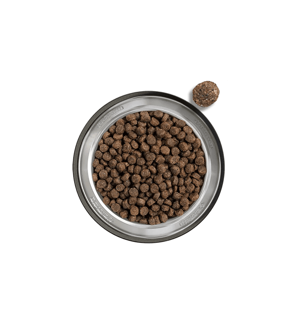 Belcando Finest Salmon For Mini Adult Dogs ( XS-M ) 12.5 KG.