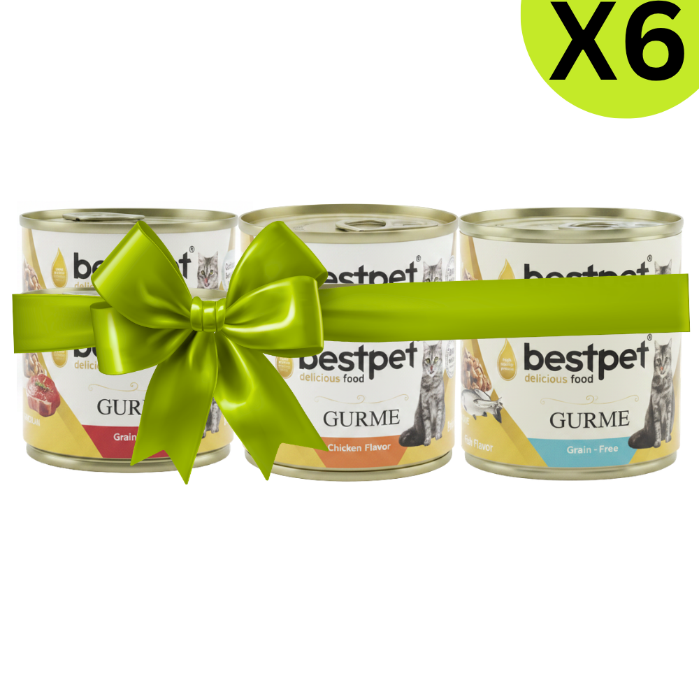 X6 Best Pet Gurme Adult Cat With ( 2 Beef , 2 Salmon And 2 Tuna &Anchovies ) Petfast.shop Bestpet Bundles Cat Exclude Food Wet Food petfast.shop EgyptDefault Title 351.00