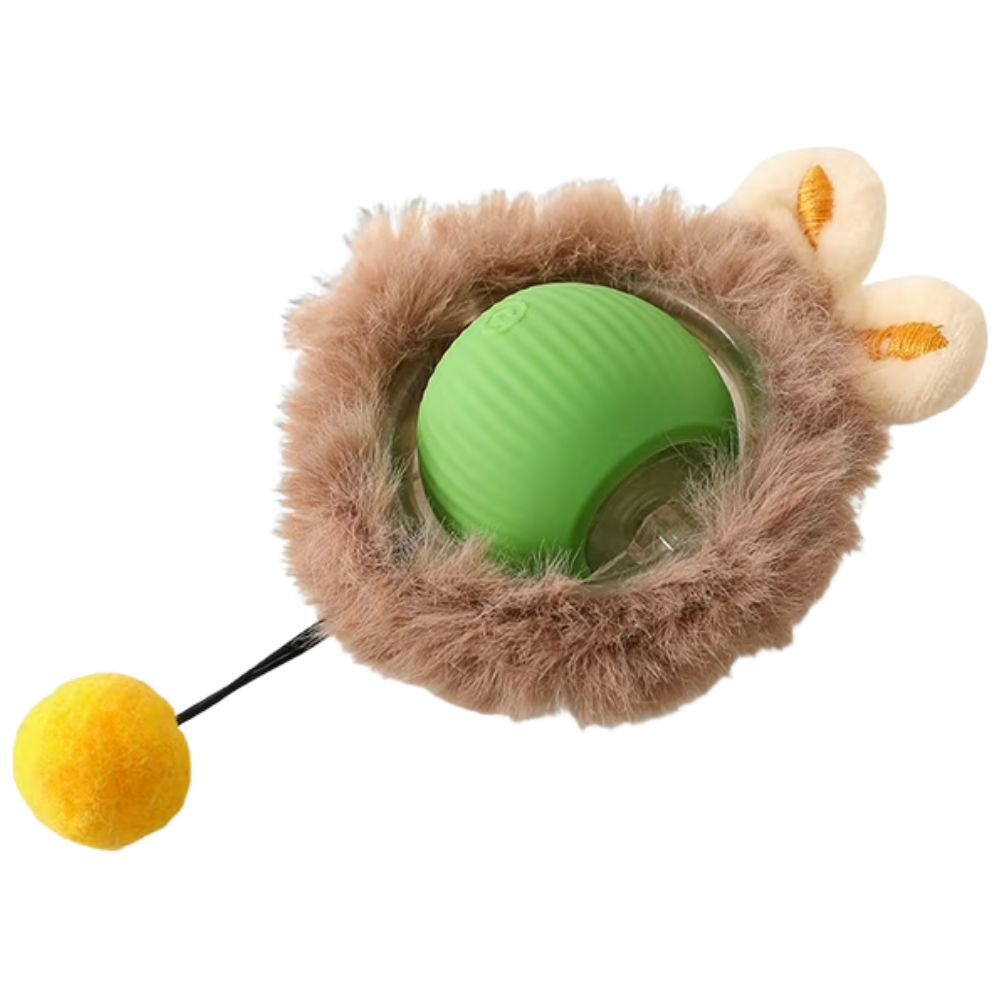 Running Ball Cat Toy 3 Pcs Petfast.shop Generic Cat Supplies Toys petfast.shop EgyptGreen 375.00