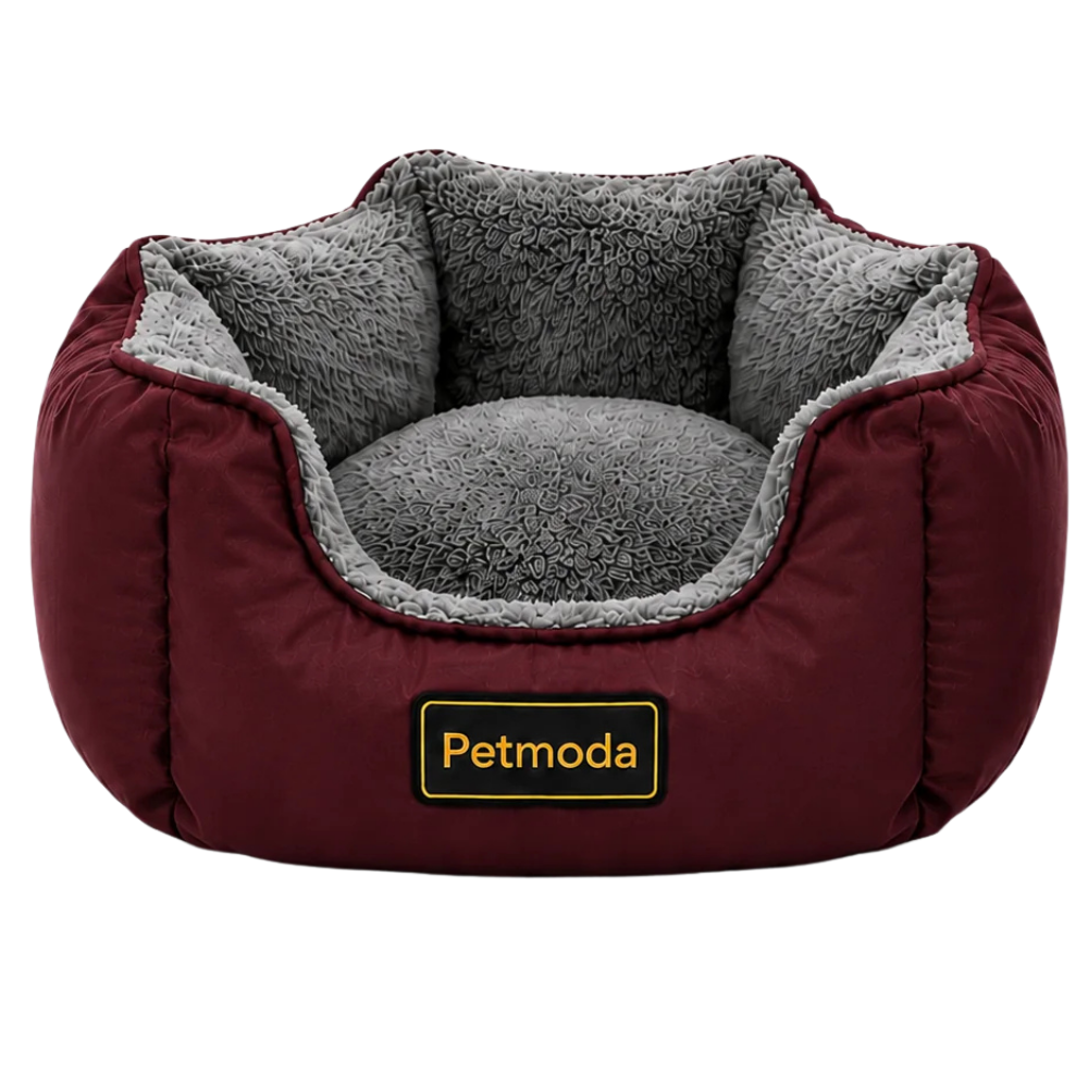 Petmoda Round Bed Blue 55*45Cm Petfast.shop Petmoda bed Cat Dog Kitten Puppy Summer Supplies petfast.shop Egypt PPE2663S-2 Green 850.00