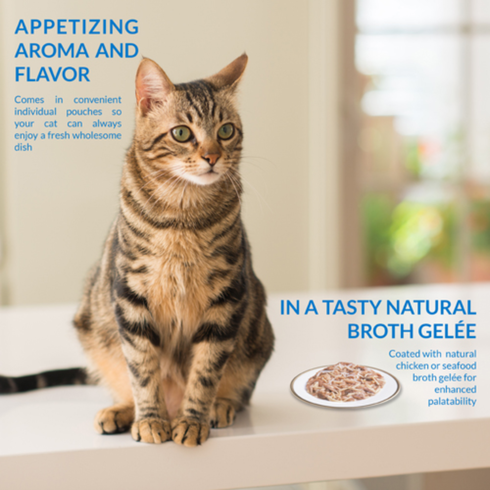Cat sitting next to a plate of cat food with promotional text about appetizing aroma and flavor.