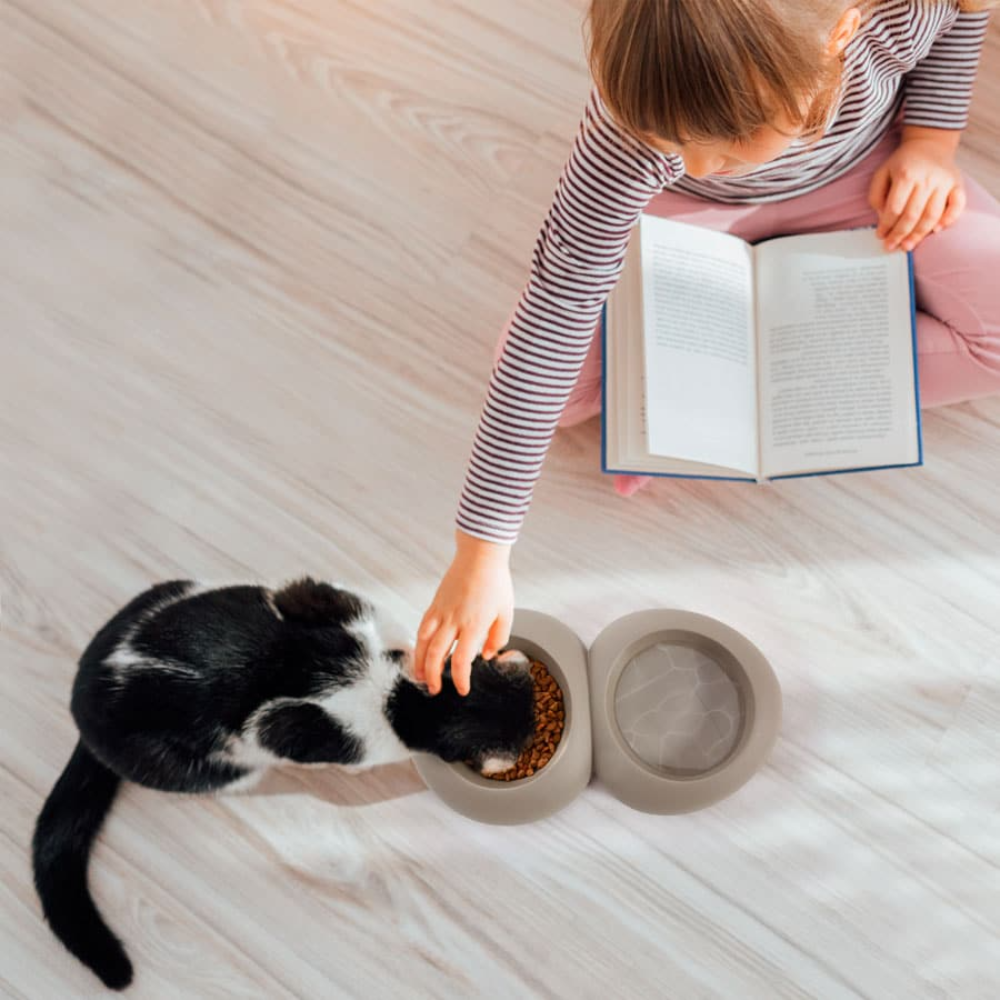 IMac Double Feeder Ciottoli for Pet Petfast.shop IMac Bowls & Feeders Cat Dog Supplies petfast.shop Egypt0.3+0.3L (28.5*19*5 Cm) 700.00